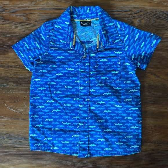 Button down collared shirts - Picture 4 of 4